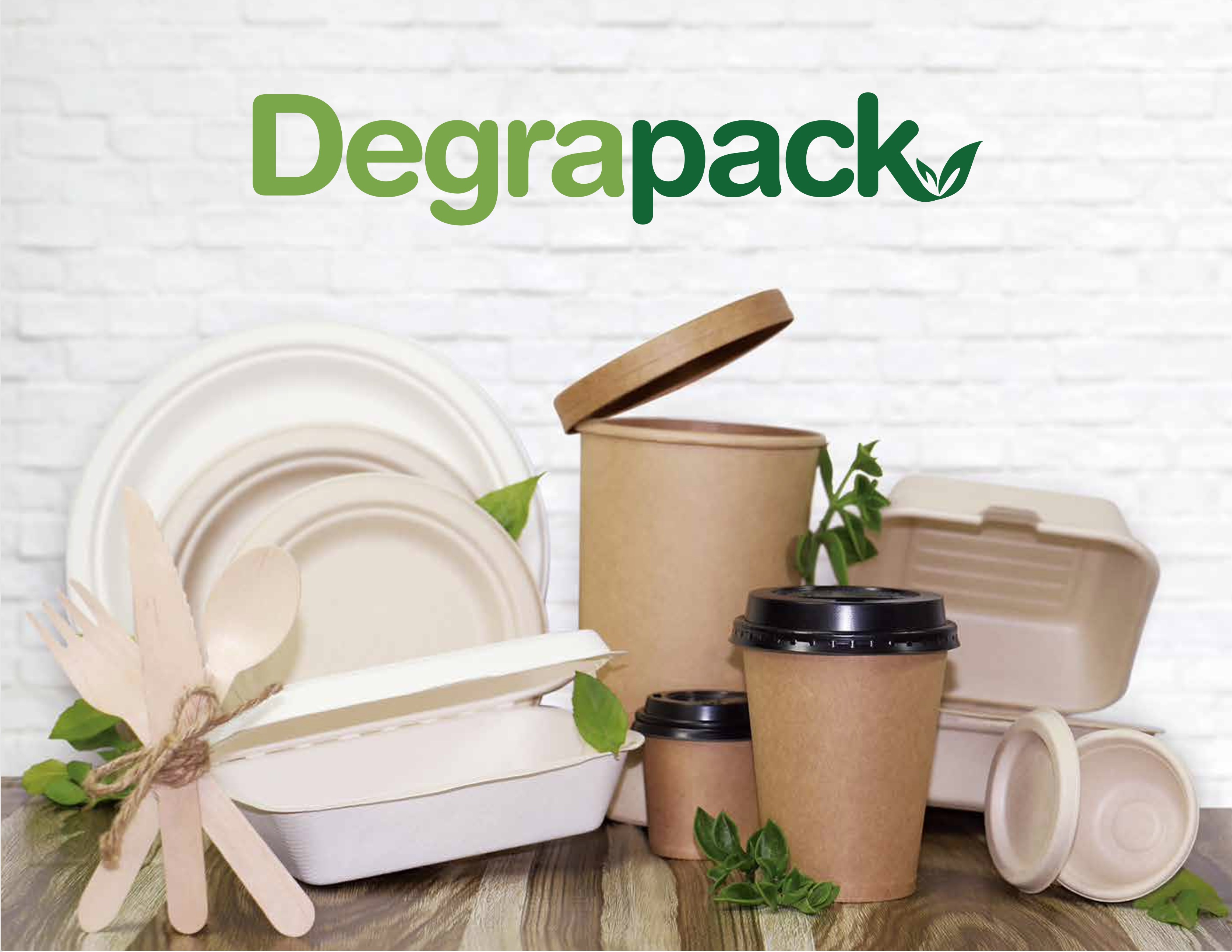 CatalogoDegrapack2024